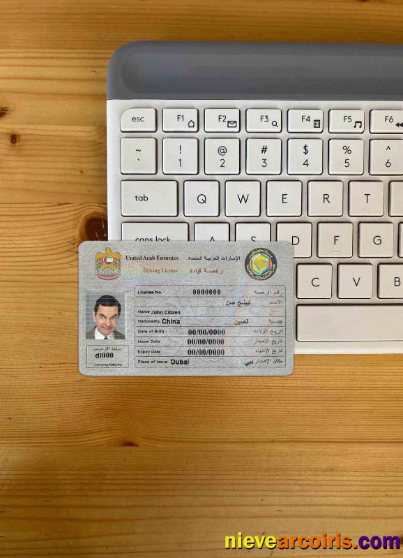 UAE driving license photolook